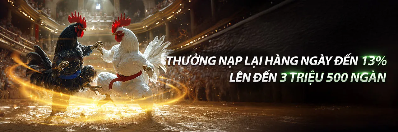 Sân vận động bóng đá với khán giả hân hoan, biểu tượng cá cược W888